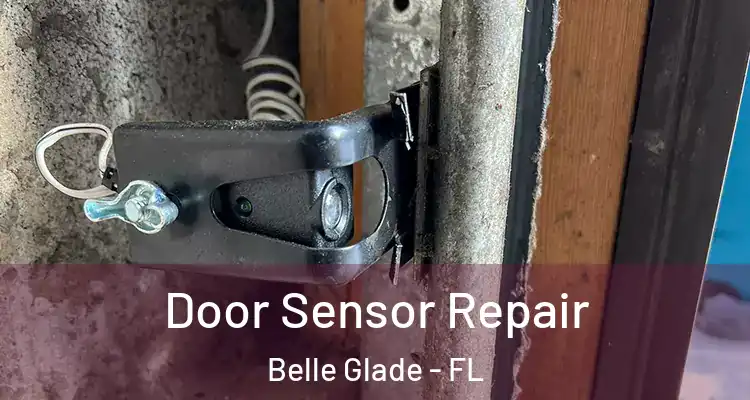 Door Sensor Repair Belle Glade - FL