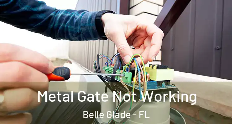 Metal Gate Not Working Belle Glade - FL