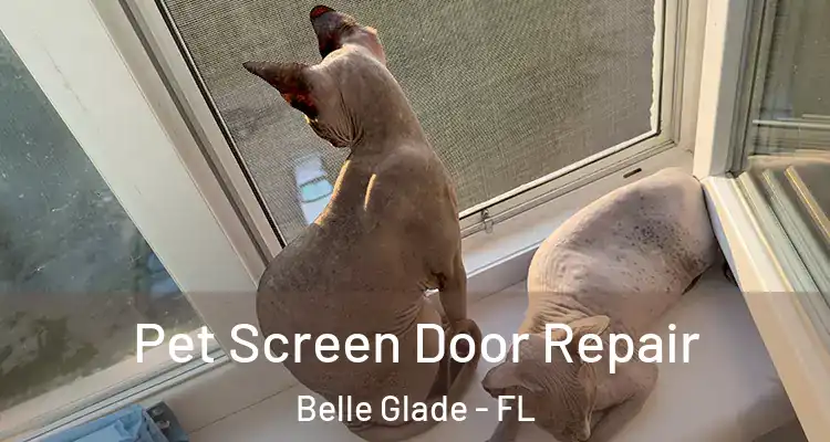 Pet Screen Door Repair Belle Glade - FL
