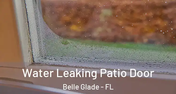 Water Leaking Patio Door Belle Glade - FL